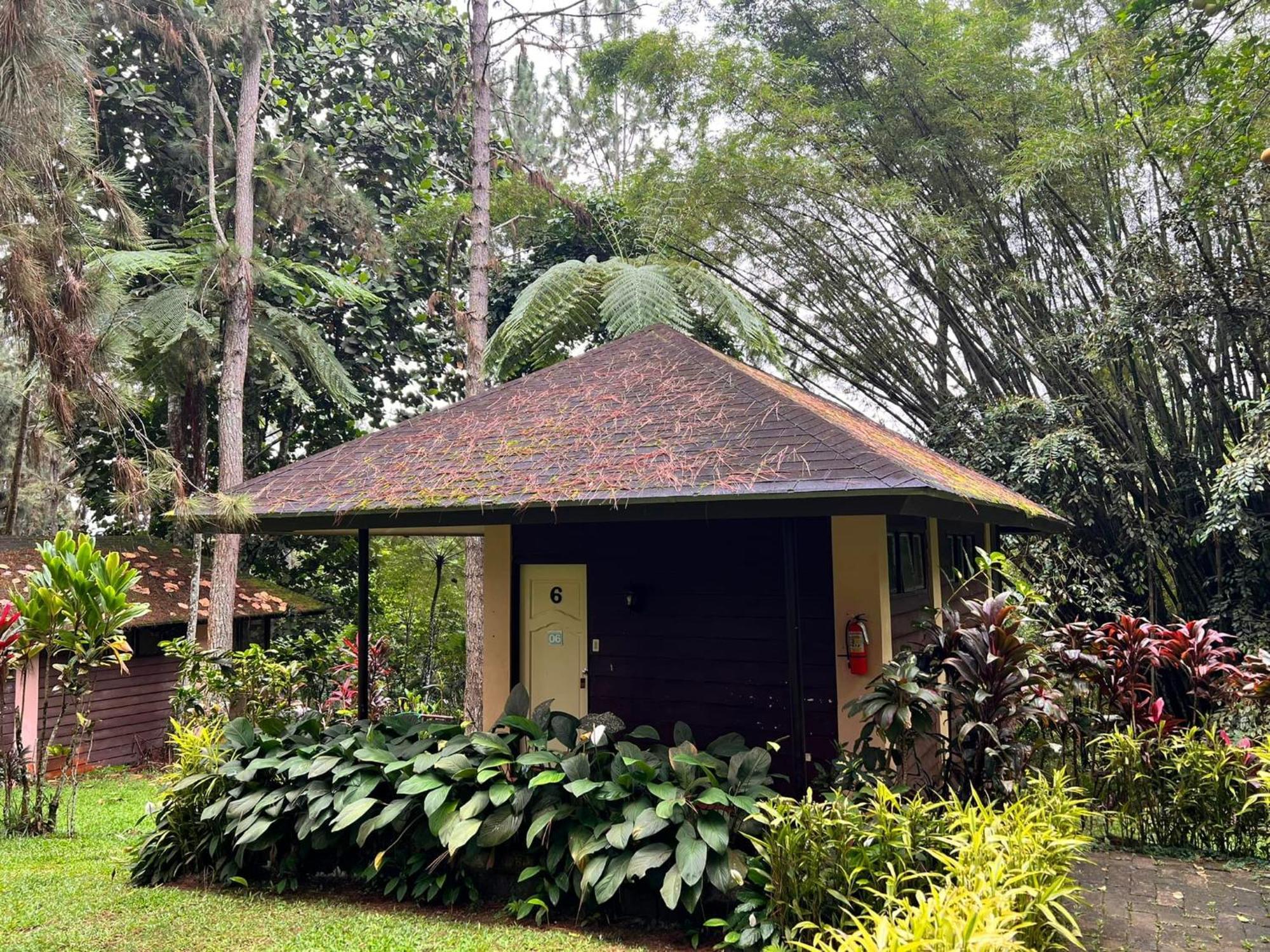 Eden Nature Park And Resort Davao City Eksteriør billede